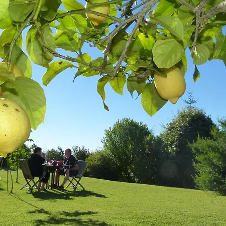 Bed & Breakfast La Colline D'orance D'hotes *