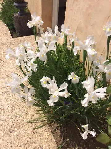 B&B La Colline D'orance D'hotes 3*